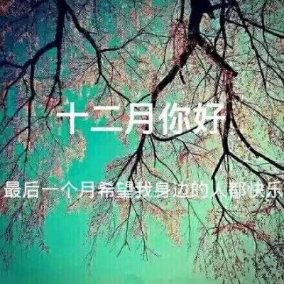 12月你好