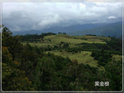 在云南丽江玉龙雪山3500多米的高海拔处，±30℃的昼夜温差，拥有纯天然冰雪融化而成的雪水滋养，原始森林的丰厚营养储备。这种得天独厚的地理条件成就了世界上独一无二的玛咖生长区域。