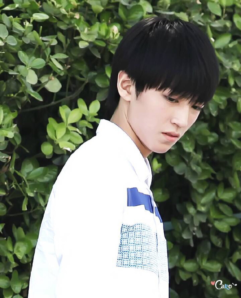 #王俊凯##tfboys王俊凯#crlogo