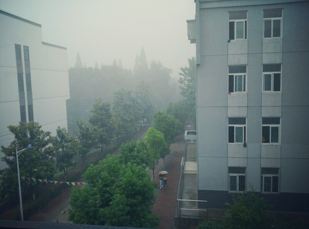 被下雨下出雾的山沟沟〒_〒2333333～