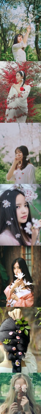 【美照这样拍】芙蓉如面柳如眉，花是女人最好的陪衬