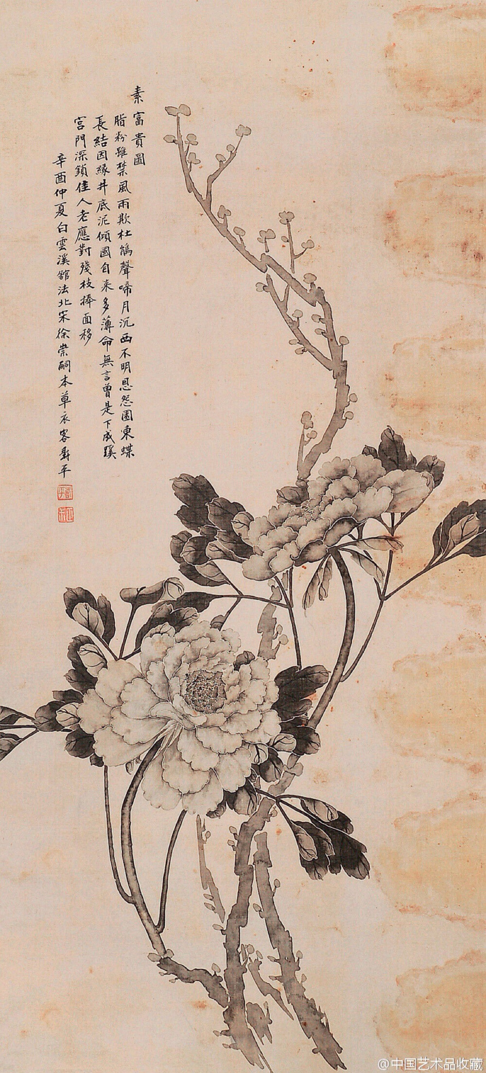 清 恽寿平 《姚黄魏紫》 】恽寿平的花卉… - 高清图片，堆糖，美图壁纸兴趣社区