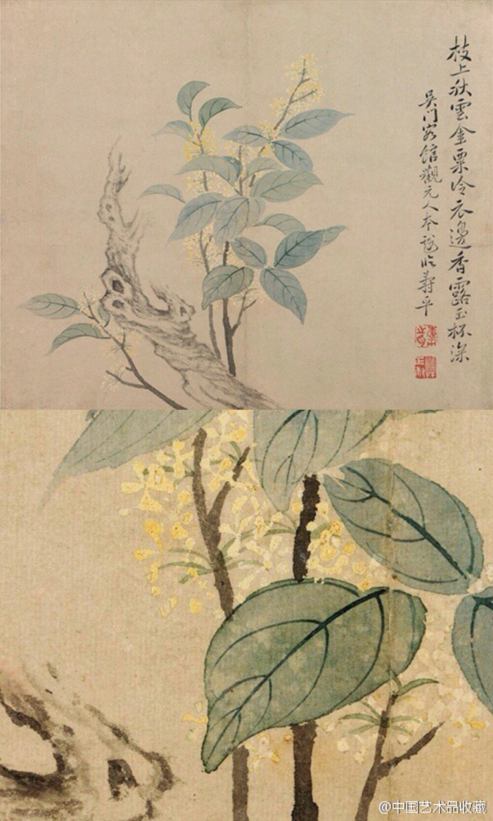 【 清 恽寿平 《花卉图册》 】册页（共六开），纸本设色，24.5×29.3cm×6，纳尔逊美术馆藏。 多为没骨画法，绘桃花、竹石、梨花、豆花石竹、桂花、岁寒三友，南田花卉形神兼备，敷色纯朴素雅，笔墨粗细浓淡相宜，流露出清新高雅的气质。