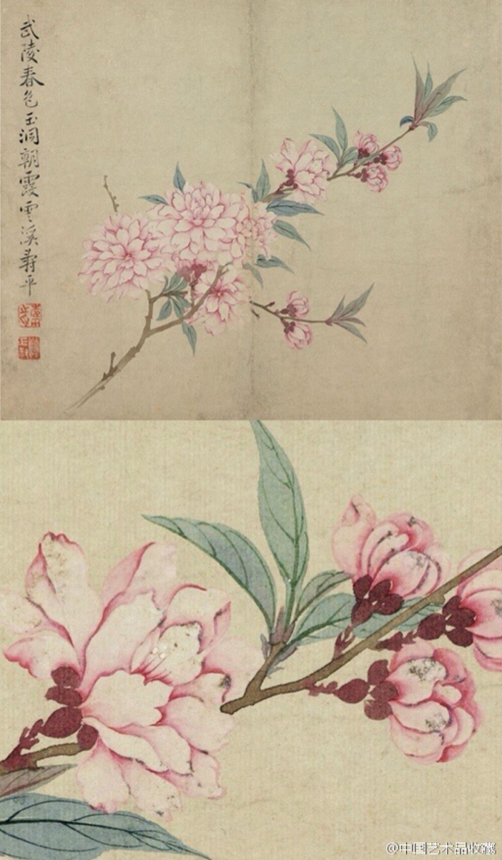 【 清 恽寿平 《花卉图册》 】册页（共六开），纸本设色，24.5×29.3cm×6，纳尔逊美术馆藏。 多为没骨画法，绘桃花、竹石、梨花、豆花石竹、桂花、岁寒三友，南田花卉形神兼备，敷色纯朴素雅，笔墨粗细浓淡相宜，流露出清新高雅的气质。