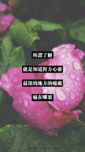 所谓了解，就是知道对方心灵最深的地方的痛处，痛在哪里。