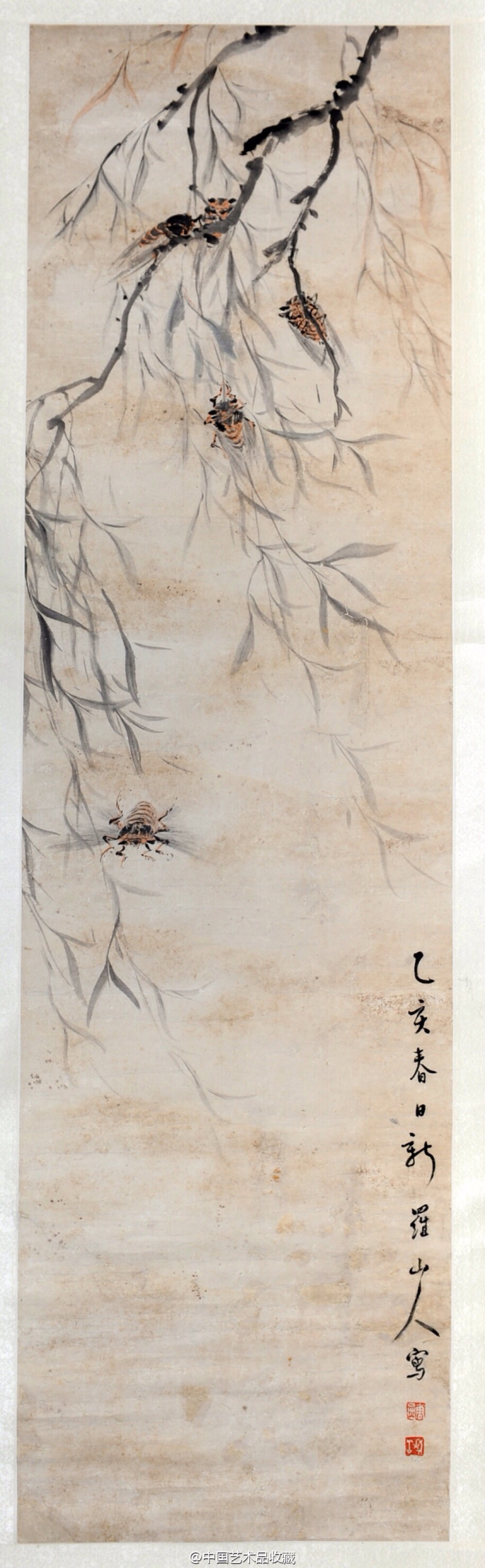 【 清 华嵒 《柳蝉图》 】轴，纸本设色，108×31cm，淮安市博物馆藏。 图绘垂柳数枝，老干新枝，柔软细长，遒劲爽利。柳枝上有夏蝉五只，或展翅欲飞、或振翅鸣叫、或栖息枝稍，或爬行嬉闹，虽形态不一，但清新和泼，各尽其致。此图用笔细致，风格写实，体现的是一种风情，一种野趣。