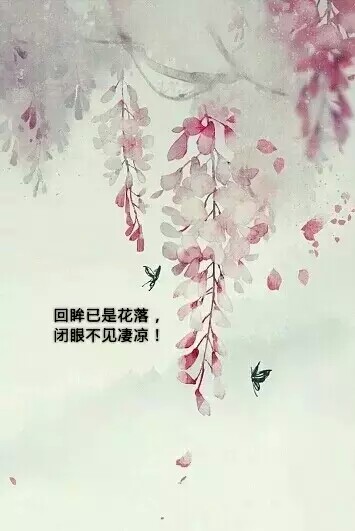 回眸……凄凉