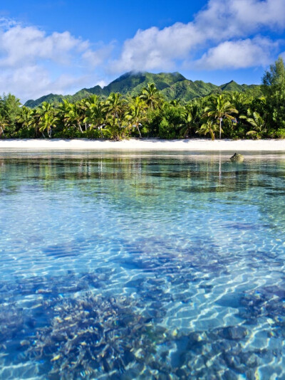 Cook Islands。库克群岛又译科克群岛，是一个位在南太平洋上，介于法属波利尼西亚与斐济之间，由15个岛屿组成的群岛，其命名起源于远征探索南太平洋，发现了许多岛屿的詹姆斯·库克船长，是新西兰的自由联合国。旅游…