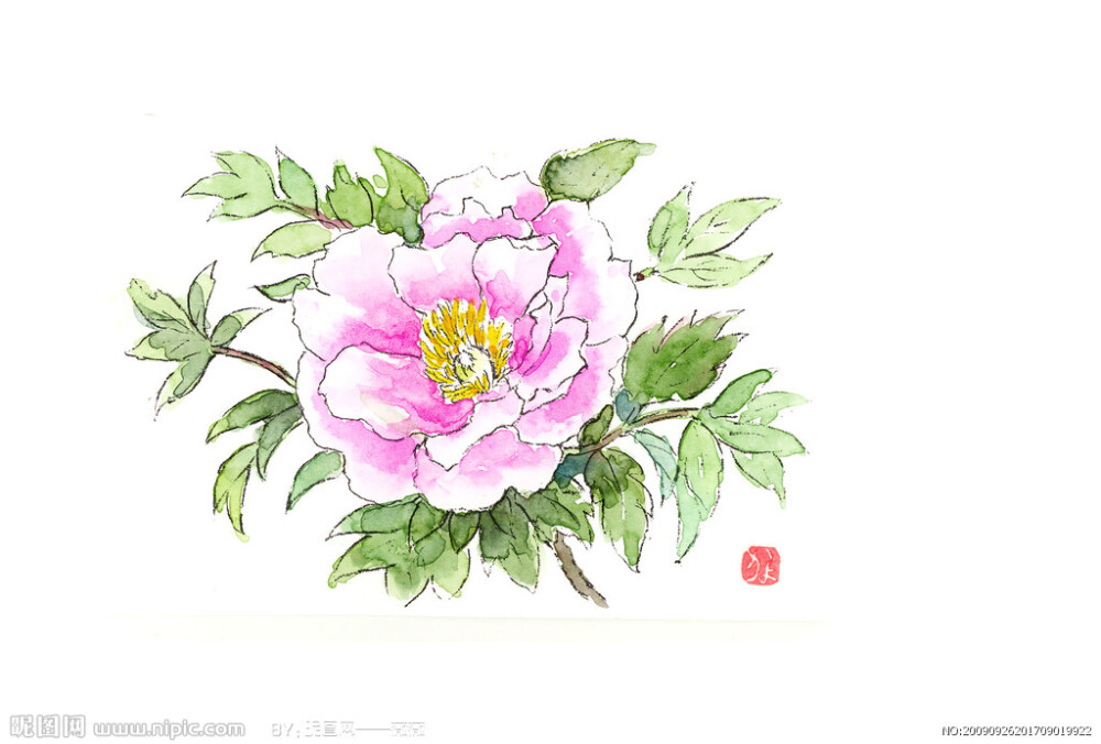 水彩花 唯美 花卉 小清新 水彩画