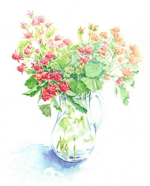 水彩花 唯美 花卉 小清新 水彩画