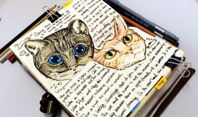 相较于狗狗还是喜欢喵星人。