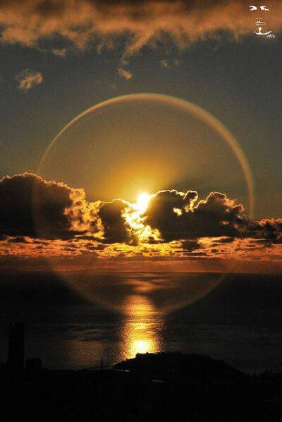 我爱的微信朋友圈