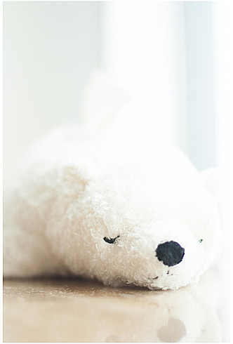 白熊车用纸巾盒抱枕 北极熊毛绒玩偶 附带日本进口备长炭除臭颗粒