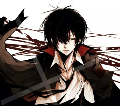 “要是眼睁睁的看着重要的同伴死去，就算是死，我也不能瞑目。” ——沢田纲吉【家庭教师】【云雀恭弥】【侵删】