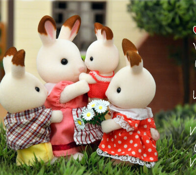 幸福的小白兔一家