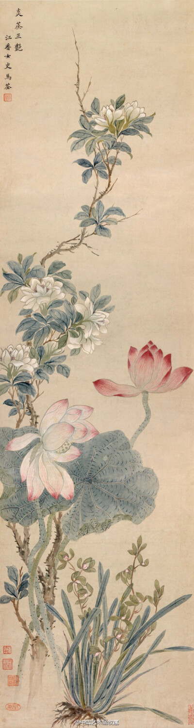 【 清 马荃 《炎蒸三艳图》】轴，纸本设色，111.44×27.94cm，纳尔逊·艾金森博物馆藏。马荃其父马元驭是以擅绘花鸟著称的画家。她自幼与父兄研习画理，展纸研墨作画不倦。清秦祖永《桐阴论画》记：“马江香荃，写意花…