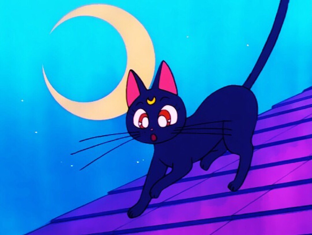 黑猫露娜壁纸图片