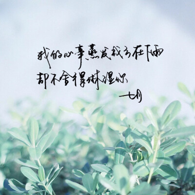 手写 明信片 高清 暖心语录 练字 书法 唯美 意境 文艺 文字 句子 文字控 七月手写 壁纸 原创壁纸 最美情话