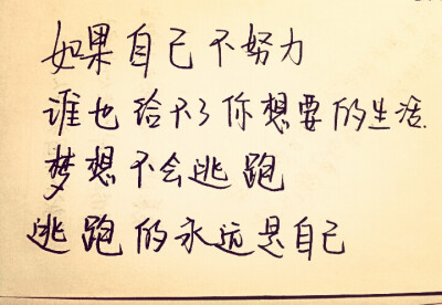 手写。美文美段。