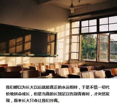 我们用初中三年去盼望高中三年，我们用高中三年去憧憬大学四年，而用大学四年去怀念中学六年，最终用我们的一生去祭奠我们的青春。