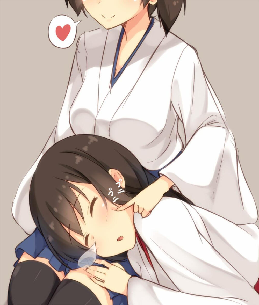 加贺赤城舰これ