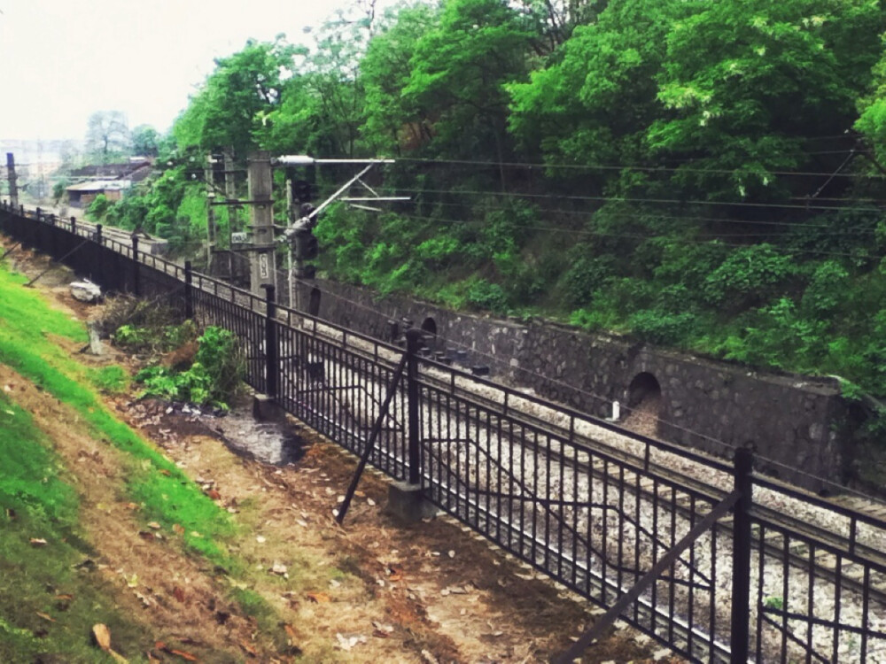 学校后山的铁路