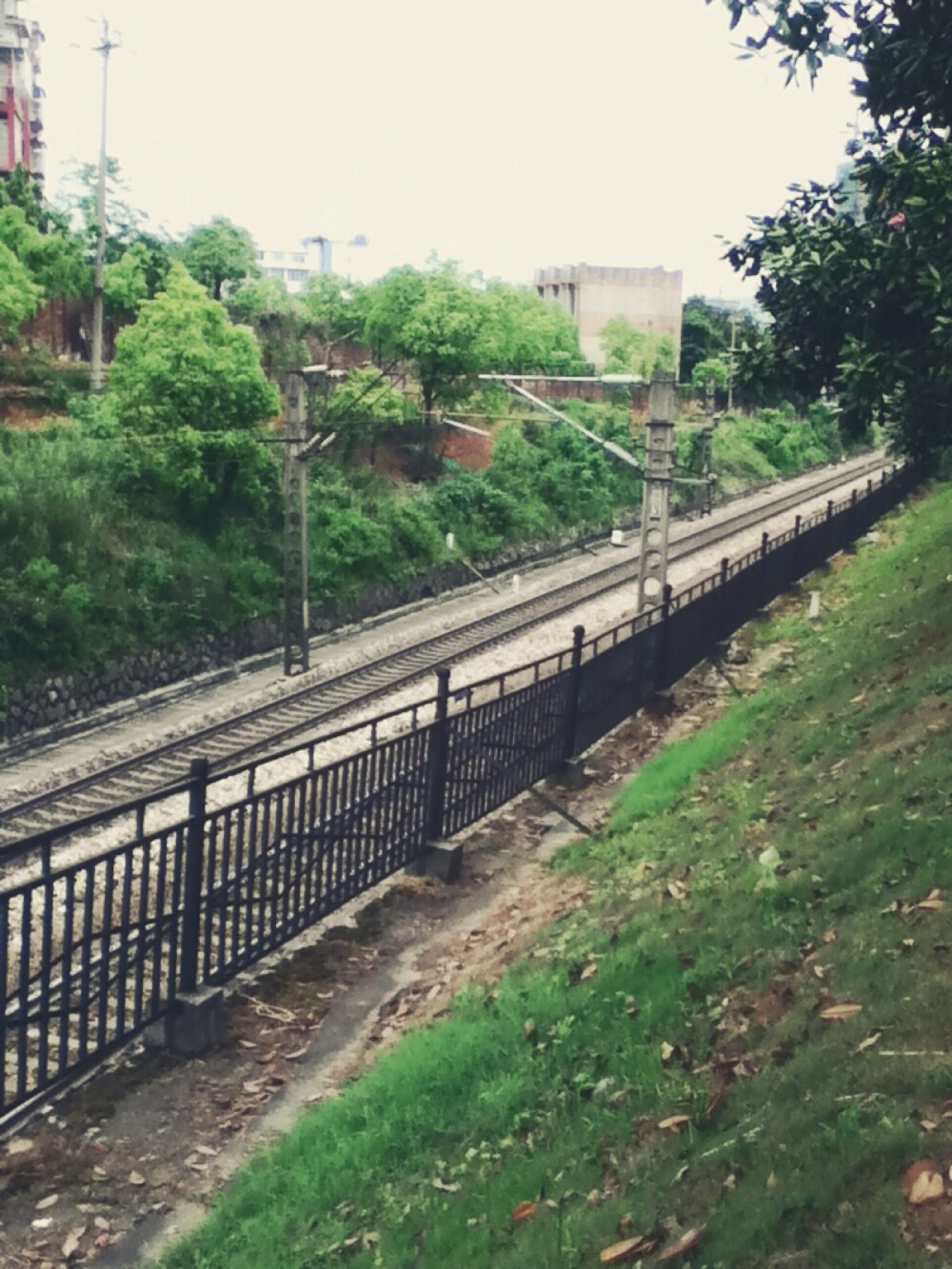 学校后山的铁路