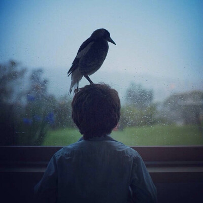 Bird with boy