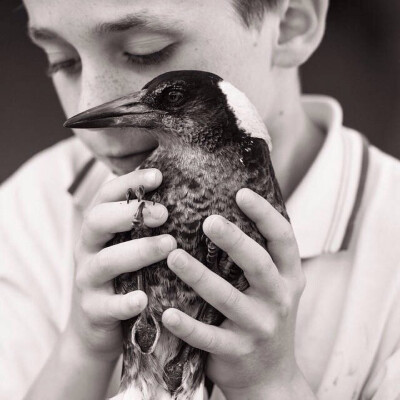 Bird with boy