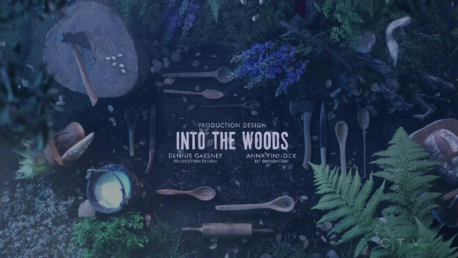 Into The Woods【魔法黑森林】迪士尼电影公司出品的一部奇幻歌舞电影，根据百老汇舞台剧改编，汇集了格林童话中“灰姑娘”、“小红帽”、“长发公主”、“杰克与豆茎”四个脍炙人口的故事与角色，并套上讽刺剧的面纱而组成一个“成人童话故事”