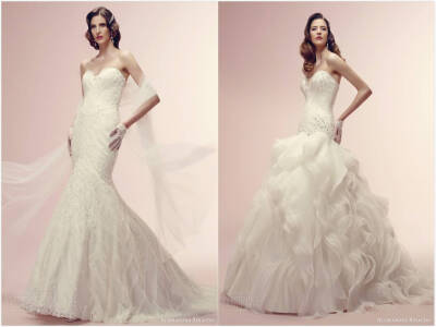 Alessandra Rinaudo 2014 Bridal Collection——仙女仙裙