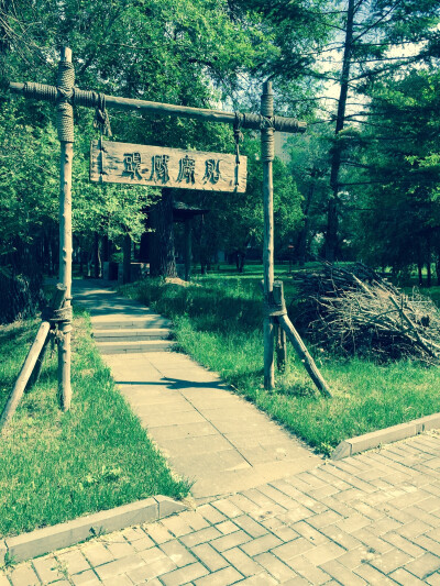 路上偶遇的风景