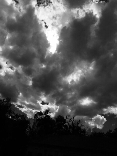 路上偶遇的风景