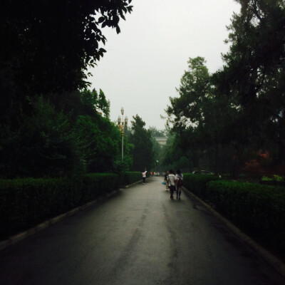 雨后 小路 水雾缭绕