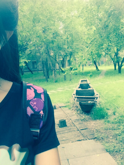 路上偶遇的风景