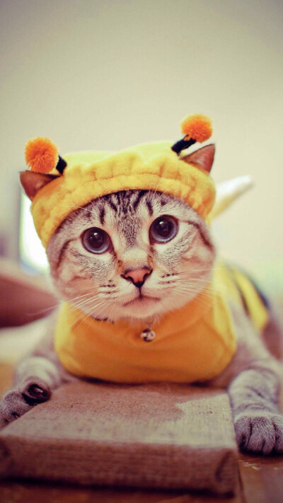 我是小蜜蜂啊 飞在花丛中啊