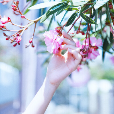 日系 人像 海边 较场尾 草帽 碎花 天空 清新 唯美 写真 壁纸 头像 摄影 by 野猪力量灌入