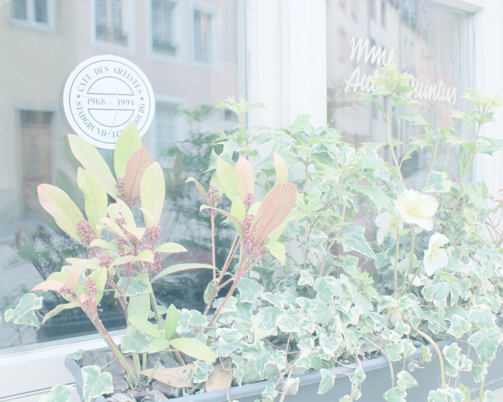 路过可爱的咖啡馆 看见可爱的植物 【卢森堡】