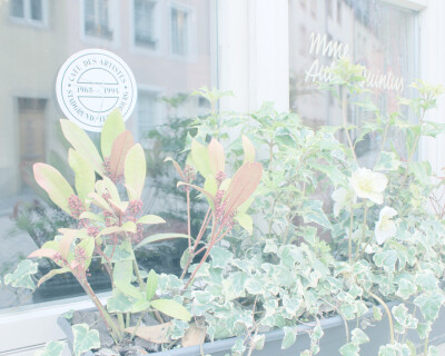 路过可爱的咖啡馆 看见可爱的植物 【卢森堡】