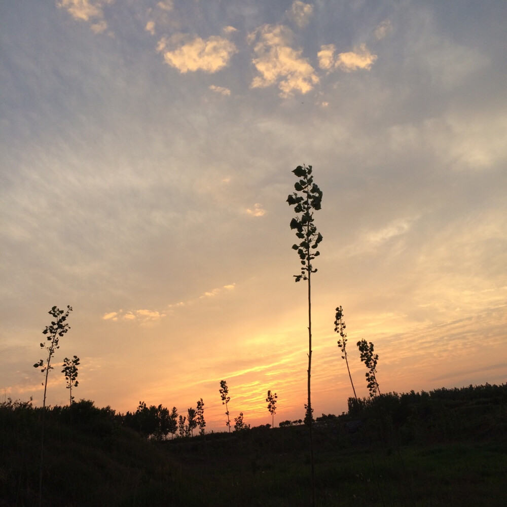 黄昏十分，夕阳西下。