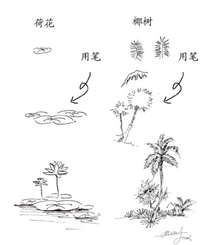 植物速写技法｛雪后｝