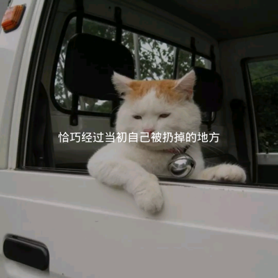 哈哈，好可爱