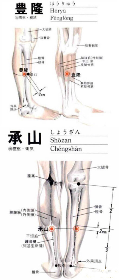 高脂血症是体内“痰湿”过多引起的，痰湿之所以不能排出体外，是脾运化功能减弱造成的，所以中医认为降血脂的关键就是健脾化湿。“丰隆穴”和“承山穴”是两个历来被看作能祛除痰湿的穴位，平时在家不妨多按压几次，…