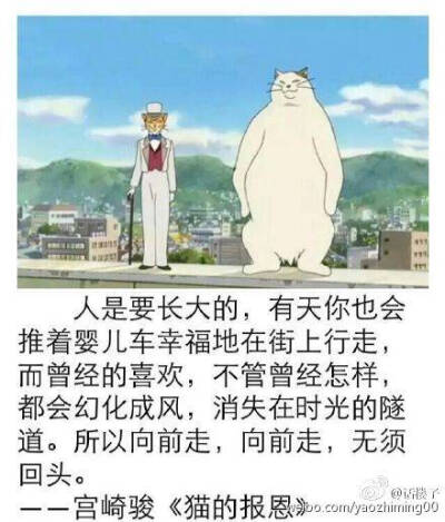 宫崎骏 猫的报恩