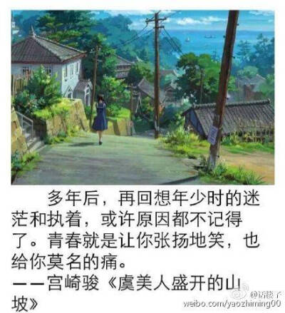 宫崎骏 虞美人盛开的山坡