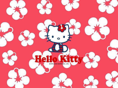 iPad mini2 hello kitty