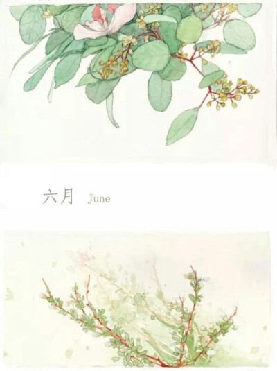 水彩