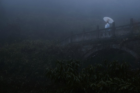 白瑜玱玱 握笔书柿叶 十年风雨夜泊 携软细逃出生天 只差一步遍得高天 风淬满袖 兰花败谢 木屐踢踏 闲置一年 双双抛了风流只沧桑 十一年 整