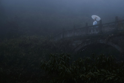 白瑜玱玱 握笔书柿叶 十年风雨夜泊 携软细逃出生天 只差一步遍得高天 风淬满袖 兰花败谢 木屐踢踏 闲置一年 双双抛了风流只沧桑 十一年 整