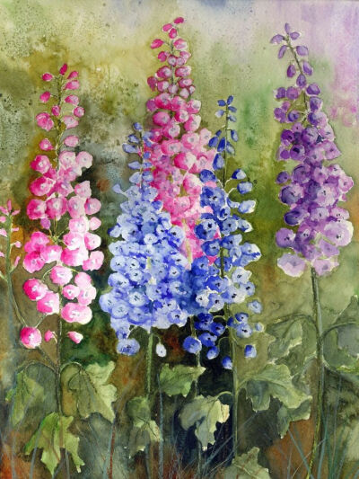 水彩花卉素材系列 by Watercolour Florals